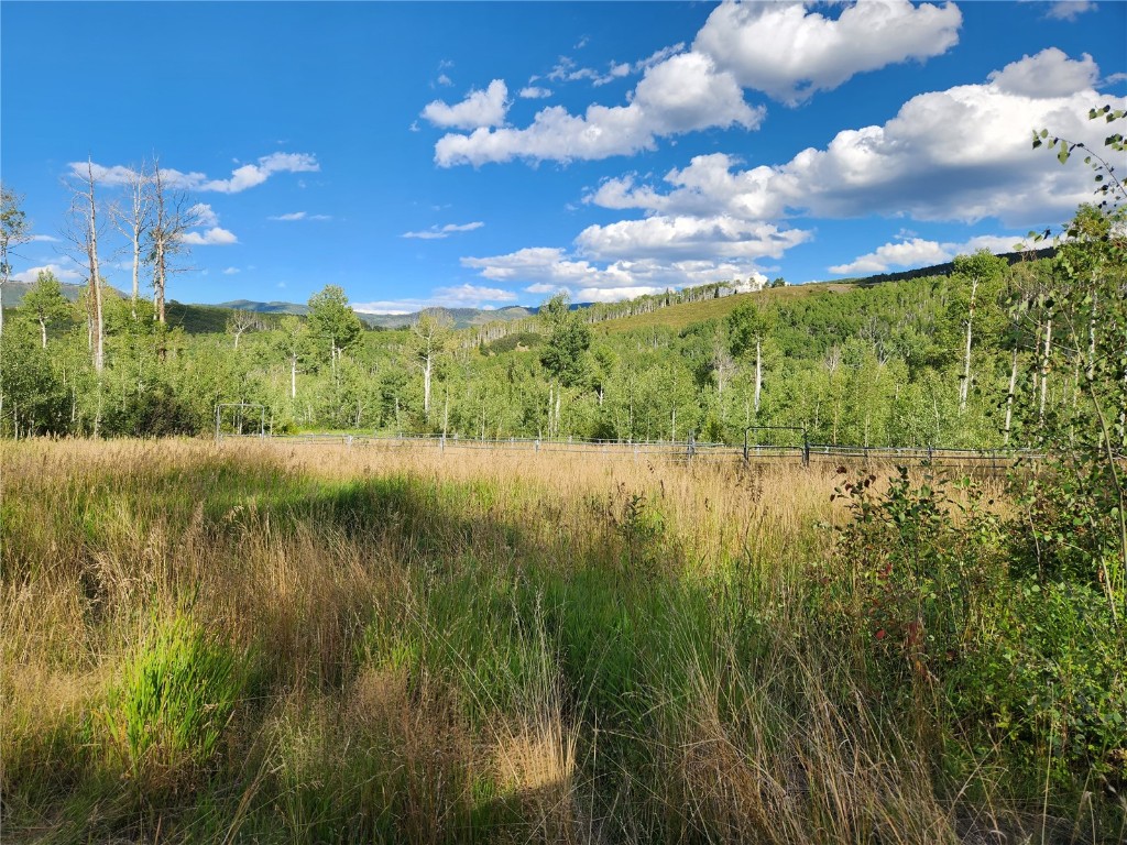 52002 County Road 8 Hamilton, CO 81638 - Photo 19 of 37 a view of lake with green space