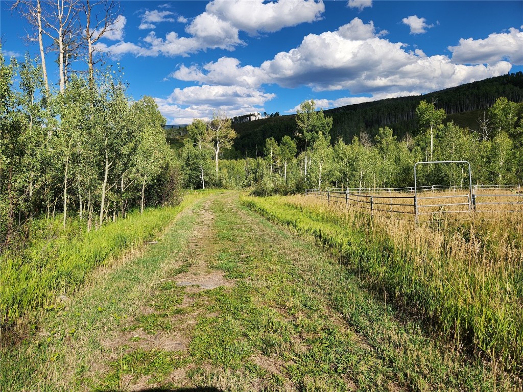 52002 County Road 8 Hamilton, CO 81638 - Photo 20 of 37 a view of a yard with plants and a fountain