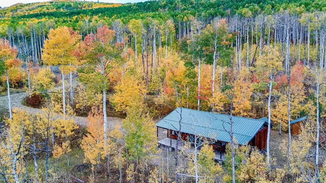 a view of swimming pool with outdoor seating and plants