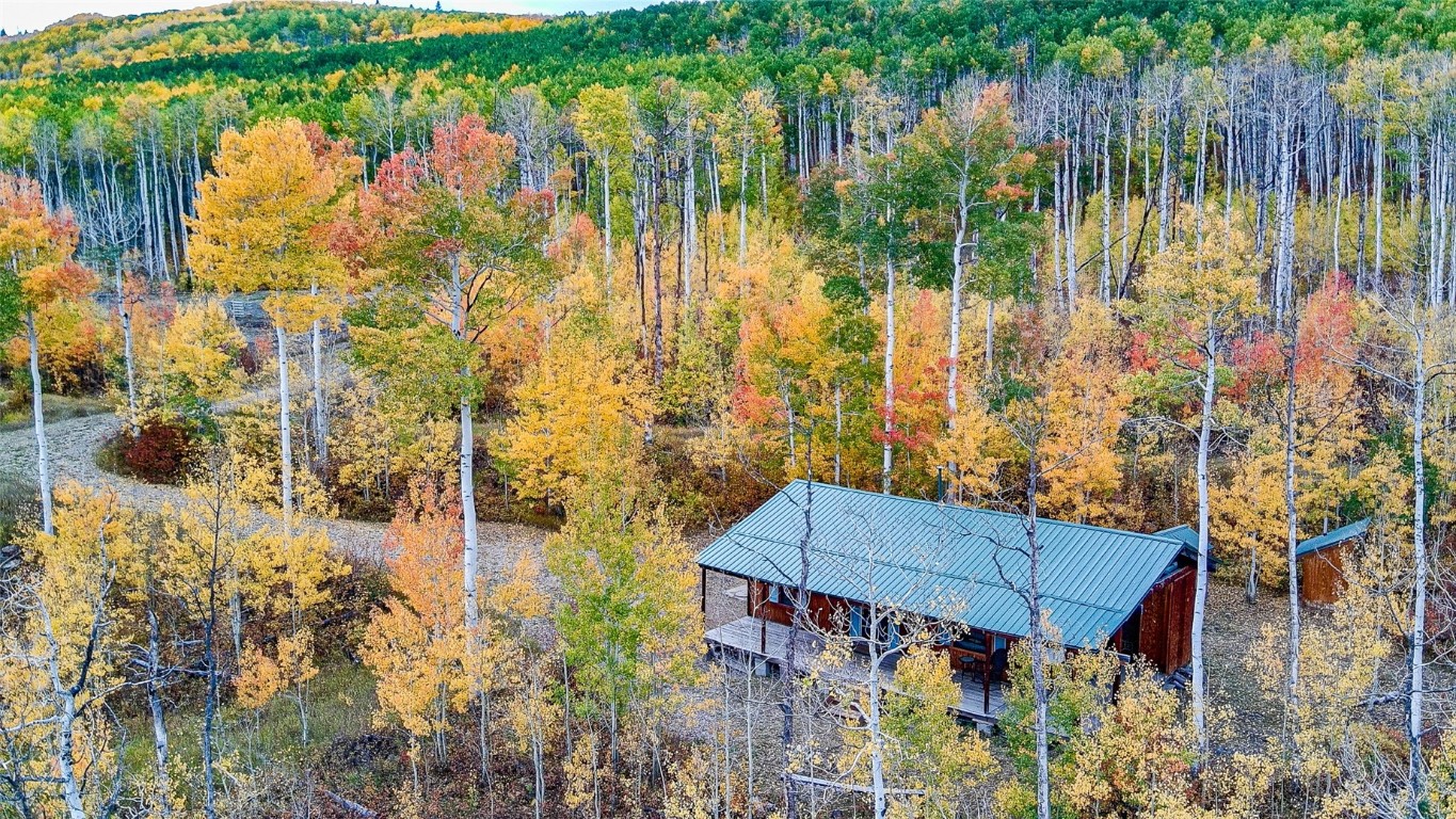 52002 County Road 8 Hamilton, CO 81638 - Photo 2 of 37 a view of swimming pool with outdoor seating and plants