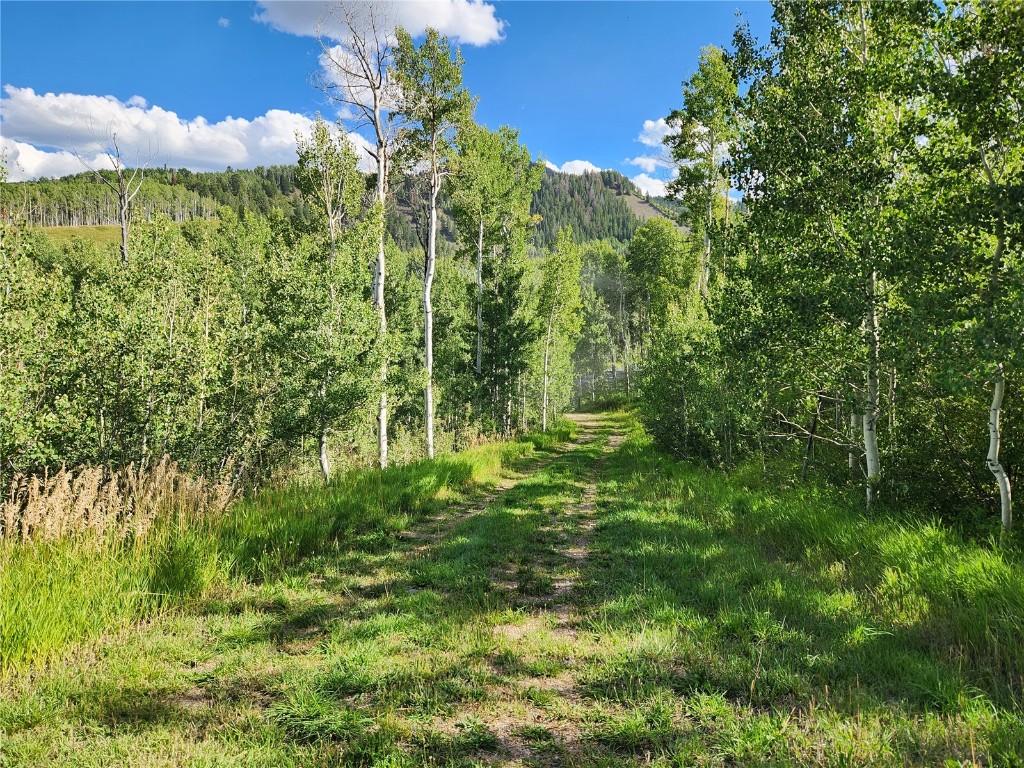 52002 County Road 8 Hamilton, CO 81638 - Photo 21 of 37 a view of a garden