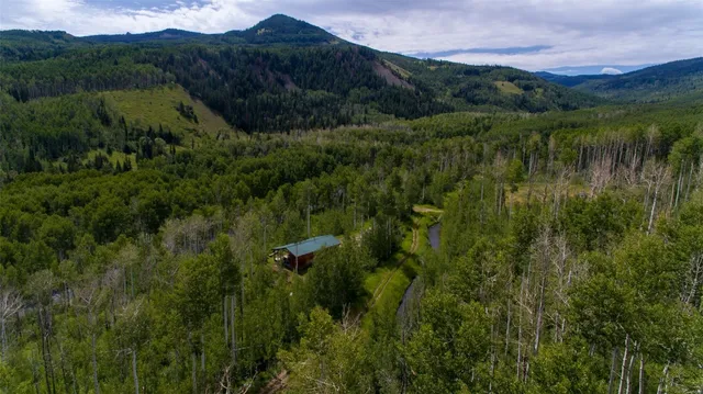 a view of a lush green outdoor space with a lake view