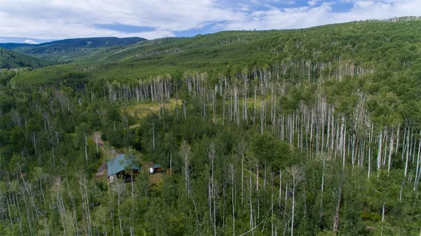 a view of a lush green forest with a houses