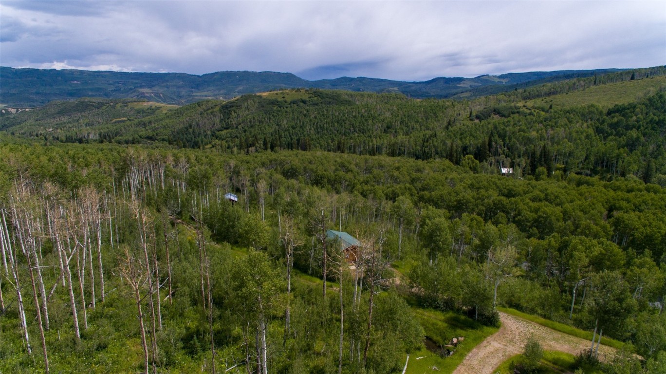 52002 County Road 8 Hamilton, CO 81638 - Photo 24 of 37 a view of a lush green forest with a houses