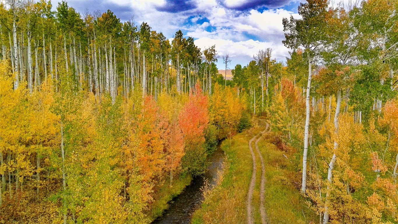 52002 County Road 8 Hamilton, CO 81638 - Photo 30 of 37 a view of residential houses with swimming pool