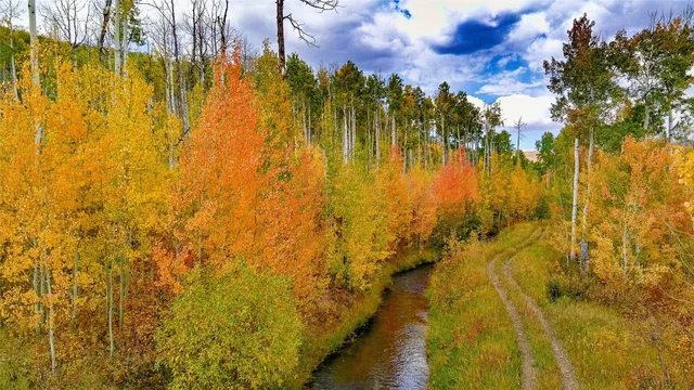 a bathroom with a blue shower and a yard space