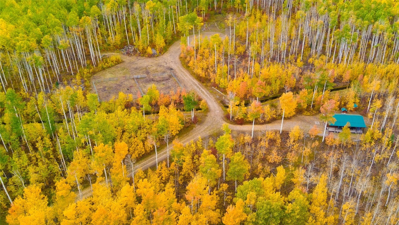 52002 County Road 8 Hamilton, CO 81638 - Photo 34 of 37 a bathroom with a blue shower and a yard space