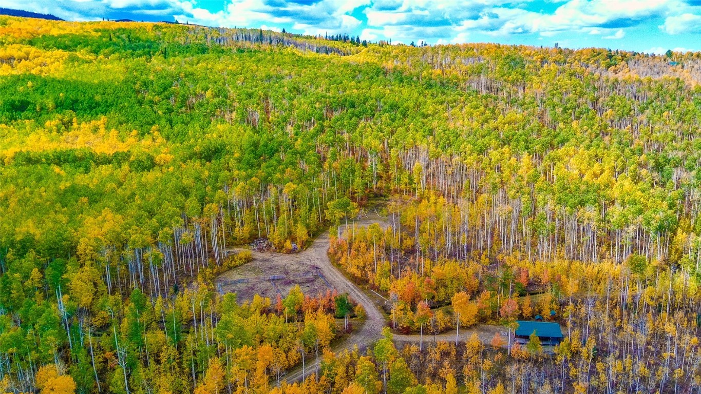 52002 County Road 8 Hamilton, CO 81638 - Photo 36 of 37 a view of a yard with plants and large trees