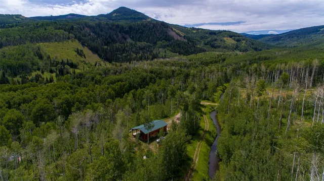 a view of a lush green forest with a houses