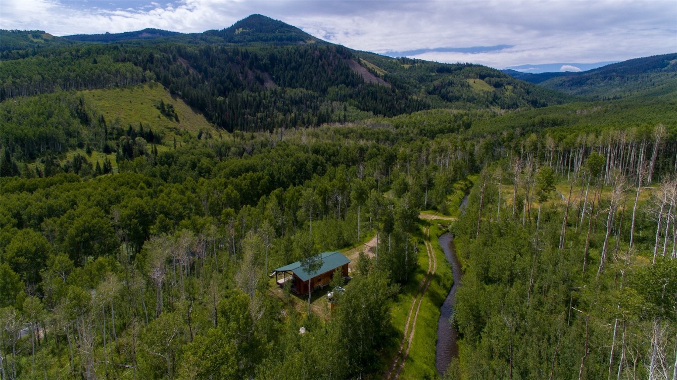 52002 County Road 8 Hamilton, CO 81638 - Photo 5 of 37 a view of a lush green forest with a houses