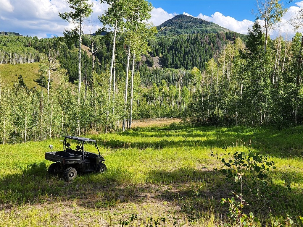52002 County Road 8 Hamilton, CO 81638 - Photo 6 of 37 a view of a garden with a lake