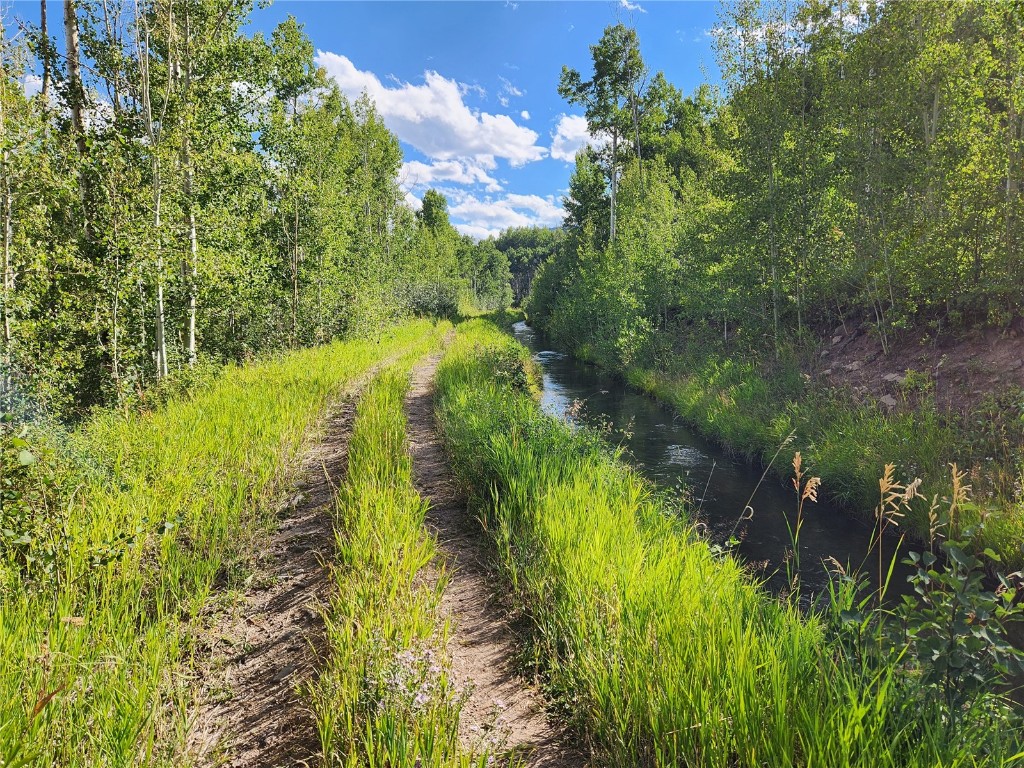 52002 County Road 8 Hamilton, CO 81638 - Photo 8 of 37