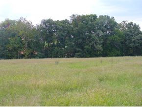Lot 13 Afton Road, Unit 13 Afton, TN 37616 - Photo 6 of 6 Photo 6