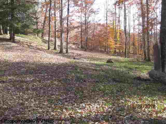 0 Georgetown Road Belington, WV 26250 - Photo 11 of 18 Gallery Image 11