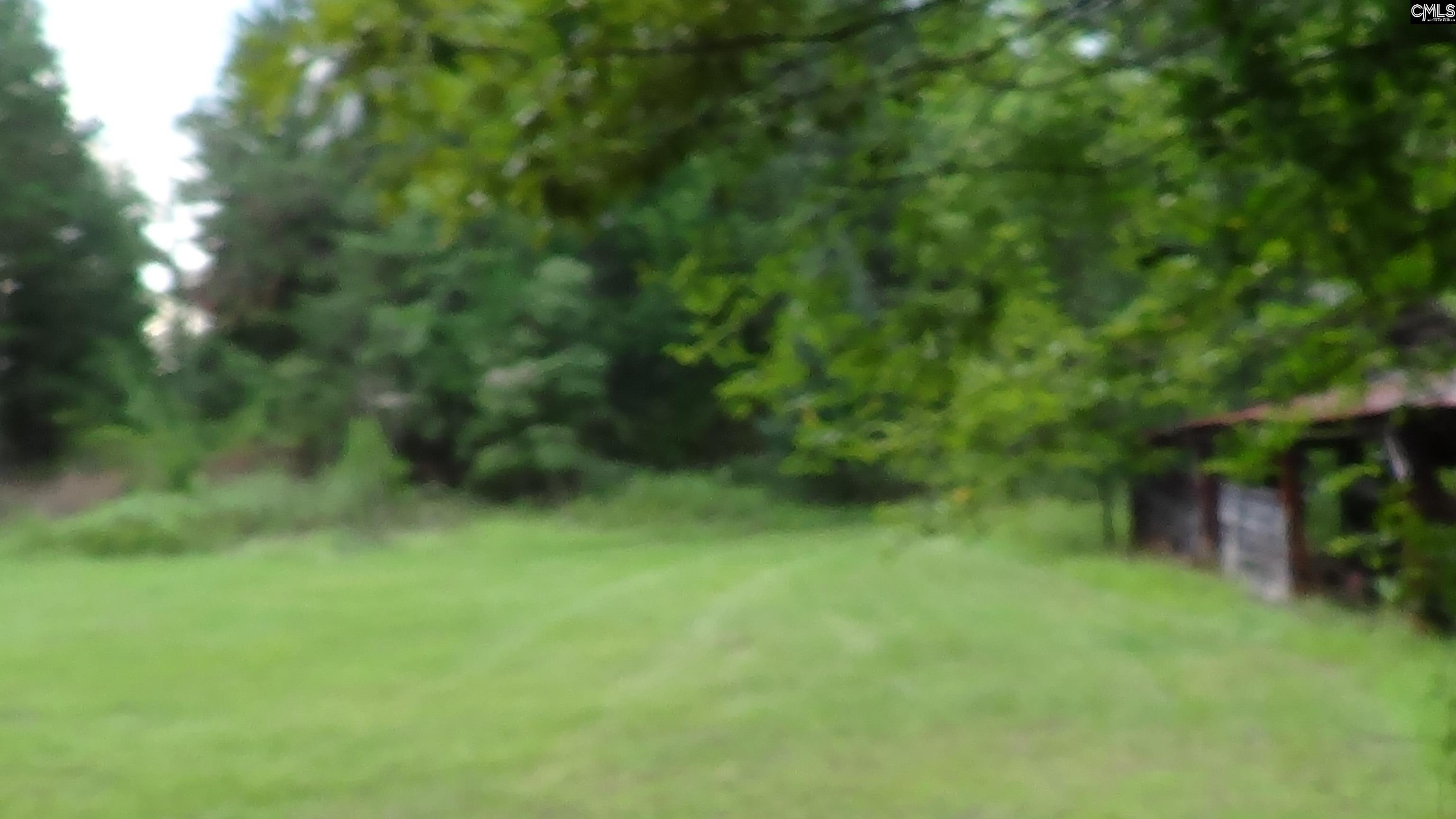 2815 Highway 1 Elgin, SC 29045 - Photo 8 of 17