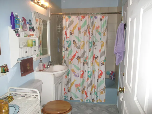 a bathroom with a sink toilet and shower curtain