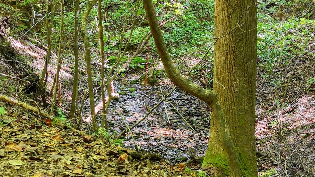 184 Beaver Ridge Road Murphy, NC 28906 - Photo 50 of 56 Gallery Image 50