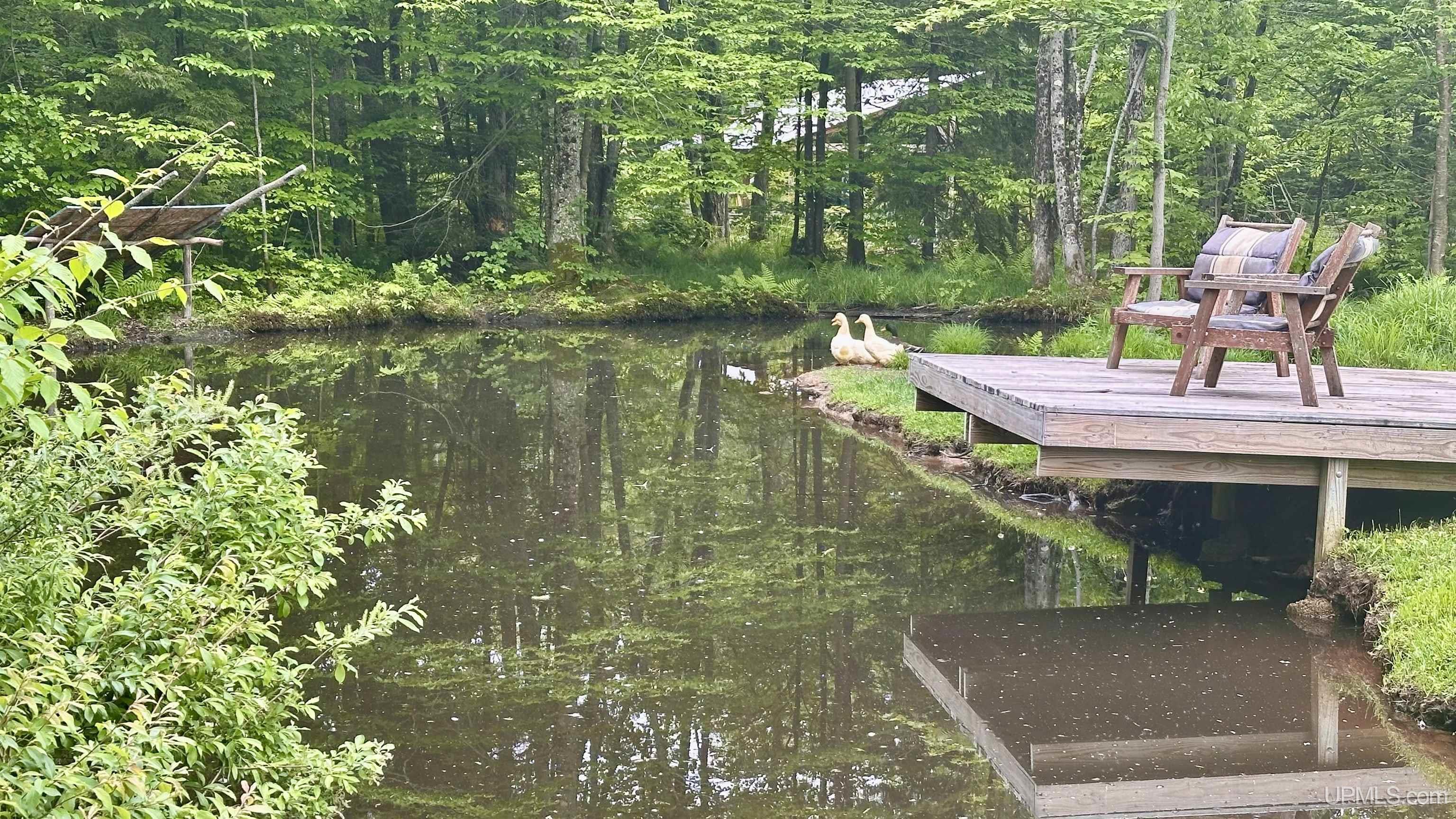 N5232 Dhondt Road Skandia, MI 49885 - Photo 23 of 53