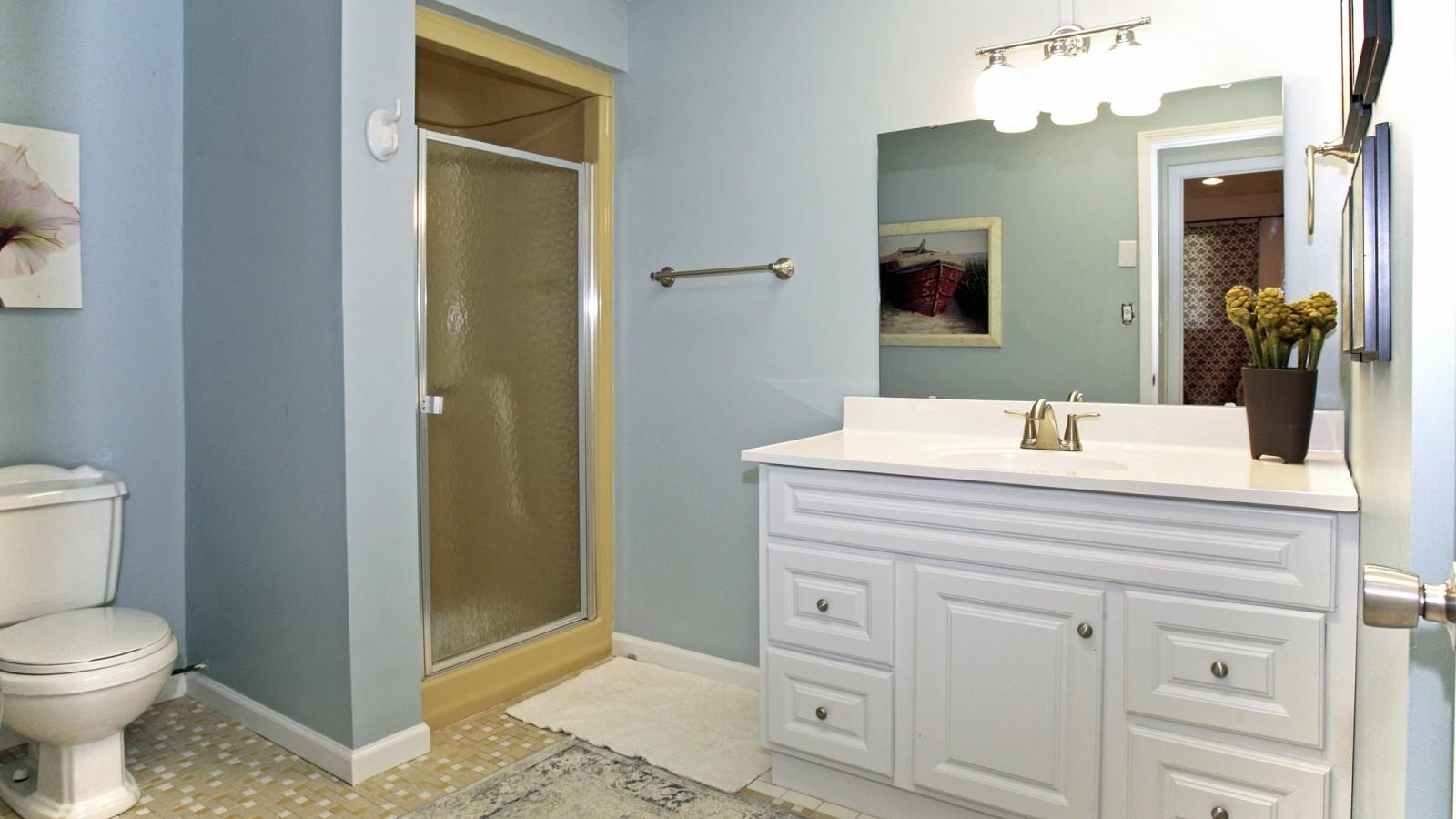 104 Mockingbird Hill Road Moneta, VA 24121 - Photo 36 of 52 Bathroom Lower Level
