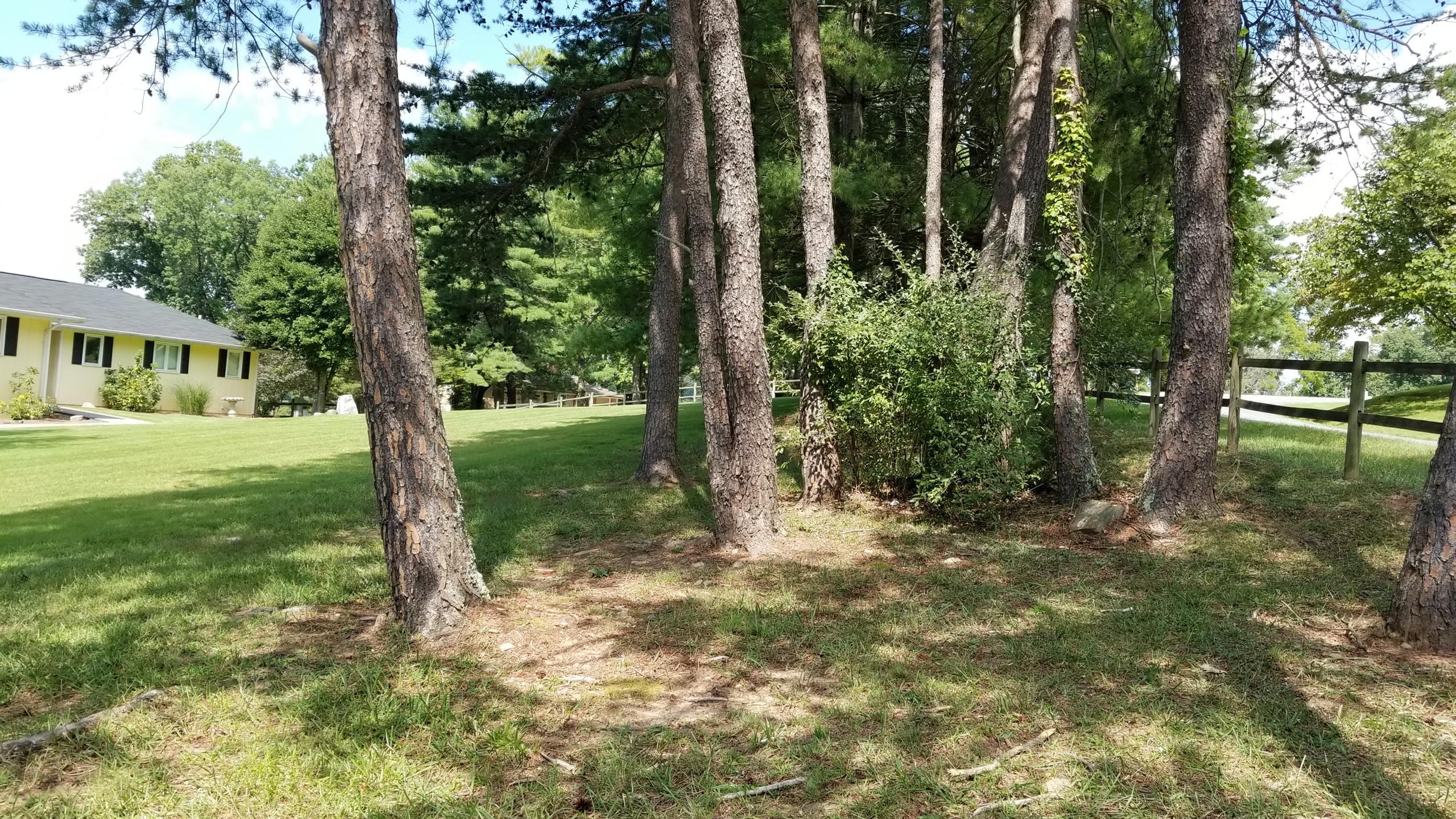 104 Mockingbird Hill Road Moneta, VA 24121 - Photo 51 of 52 20180905_120050 (1)