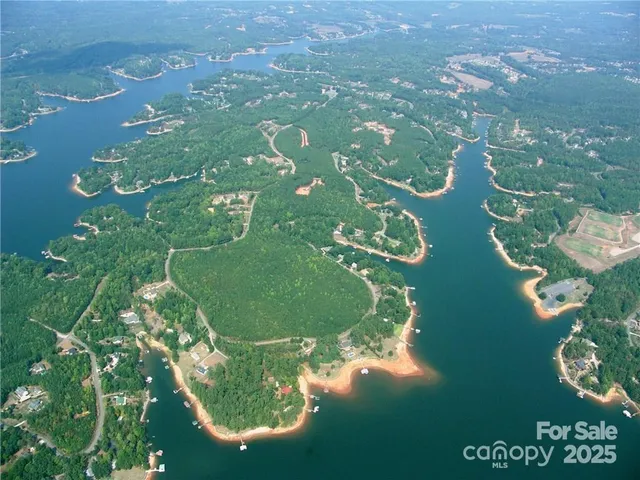 a view of a garden with a lake