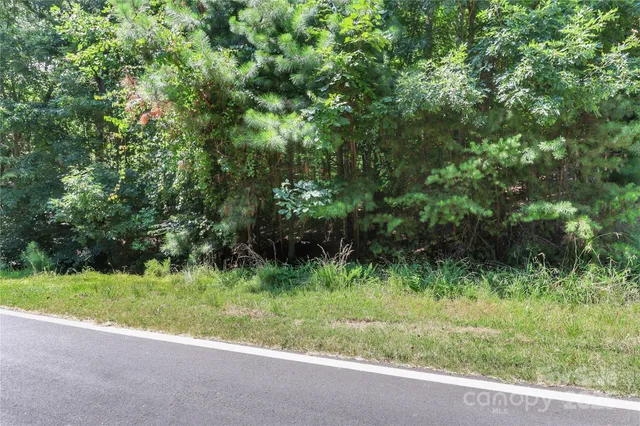 a view of a garden with a small yard