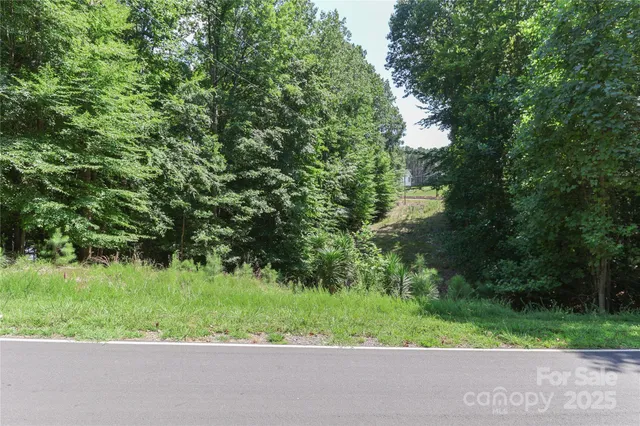 a view of a garden with a tree