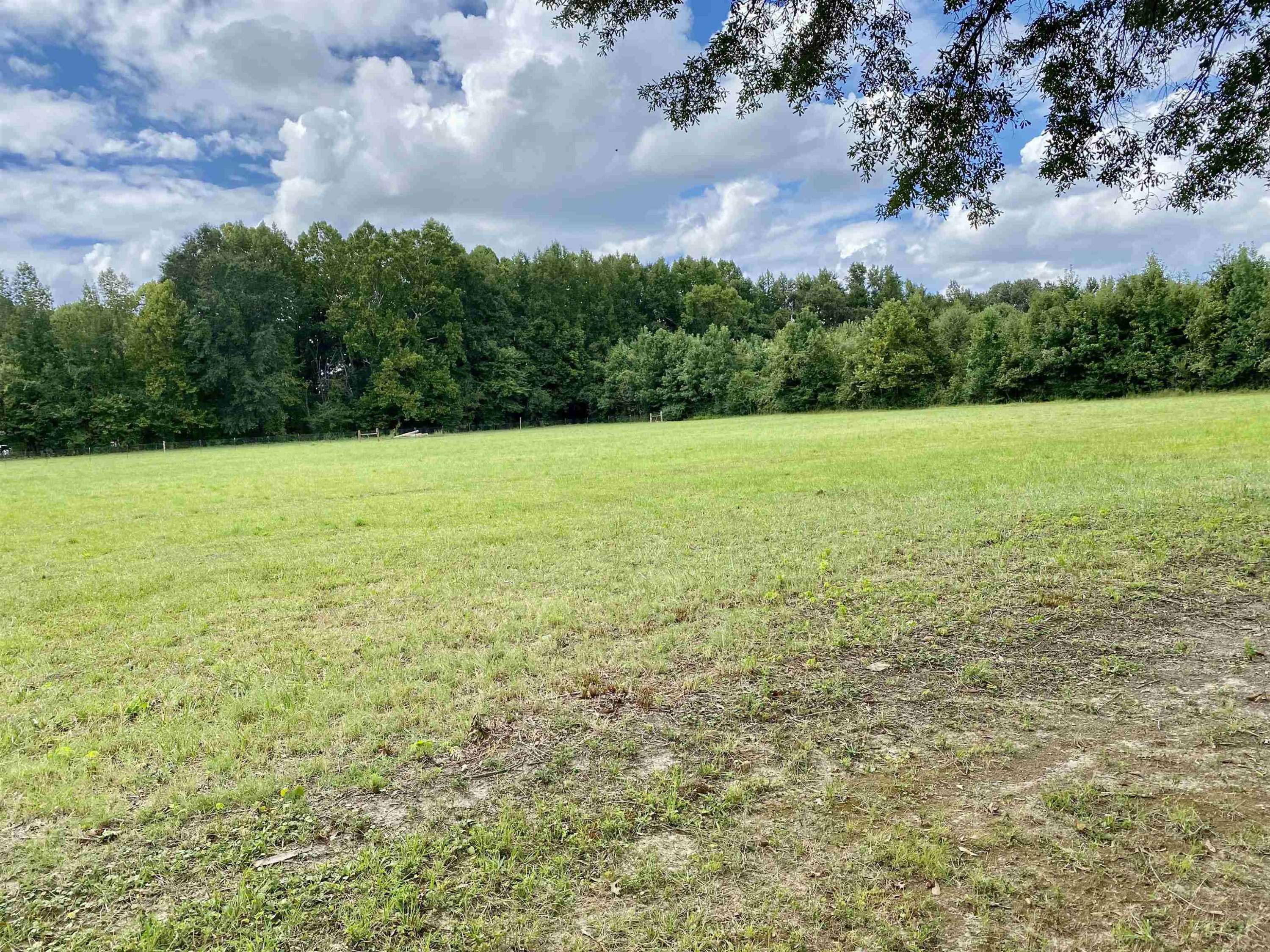 505 Perry Switch Road Jackson, TN 38301 - Photo 3 of 18 Photo 3