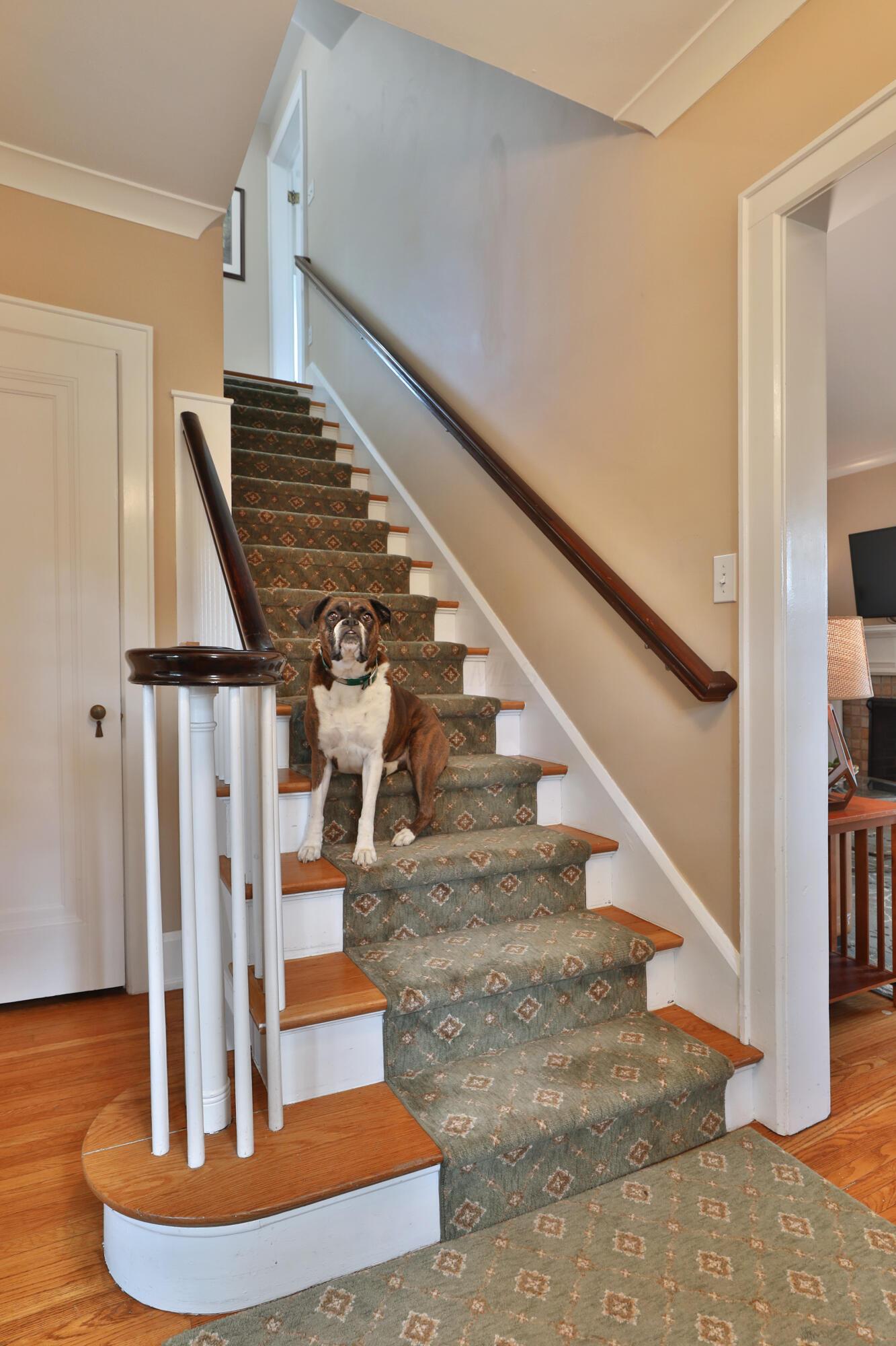 66 South Cassingham Road Bexley, OH 43209 - Photo 28 of 85 Graceful railings