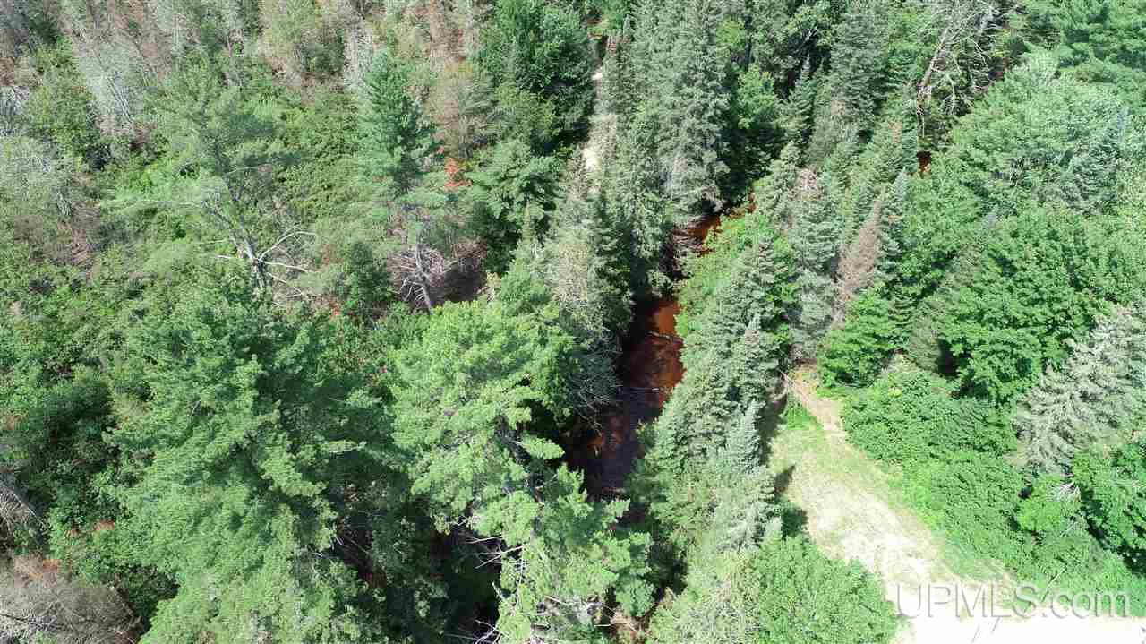 Tbd Fox River Road Seney, MI 49883 - Photo 3 of 8 Gallery Image 3