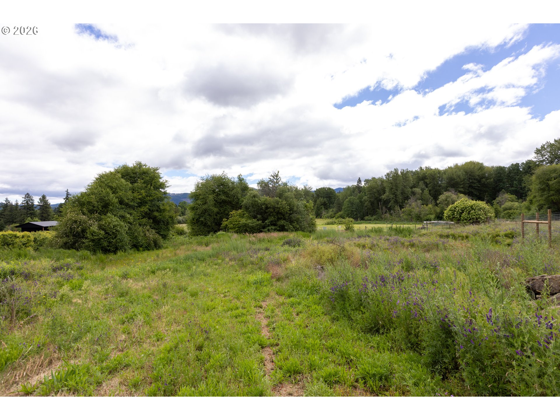 6455 Trout Creek Ridge Road Mount Hood Parkdale, OR 97041 - Photo 18 of 38