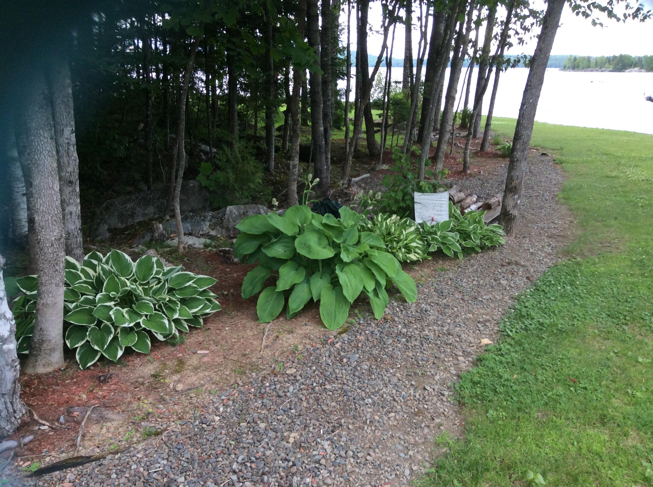 171 South Shore Road Linneus, ME 04730 - Photo 41 of 46 IMG_1926