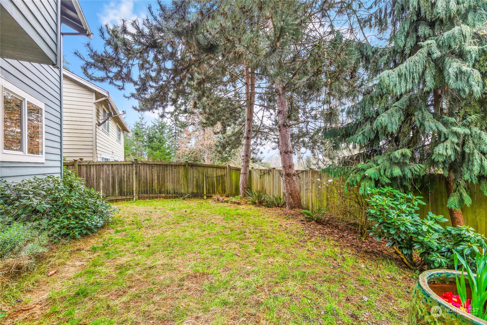 210 202nd Street Southeast Bothell, WA 98012 - Photo 28 of 33 a view of backyard with tree