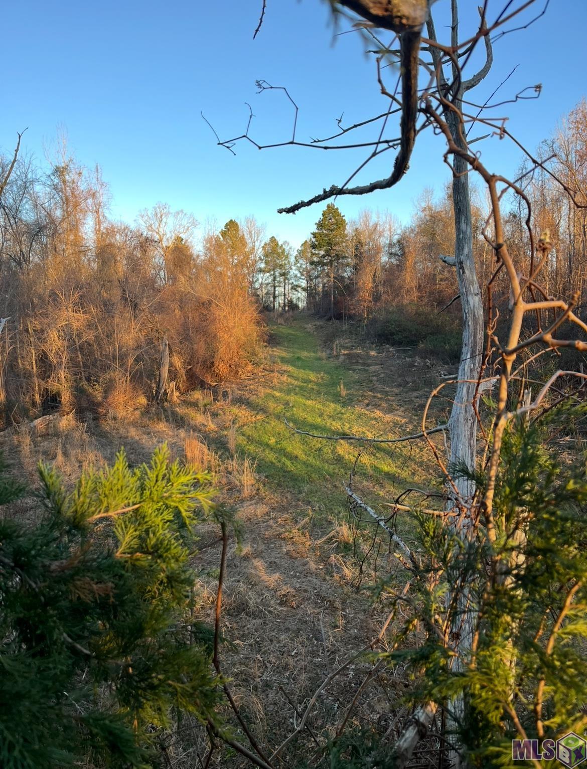 11255 Old Port Gibson Road Port Gibson, MS 39150 - Photo 5 of 32