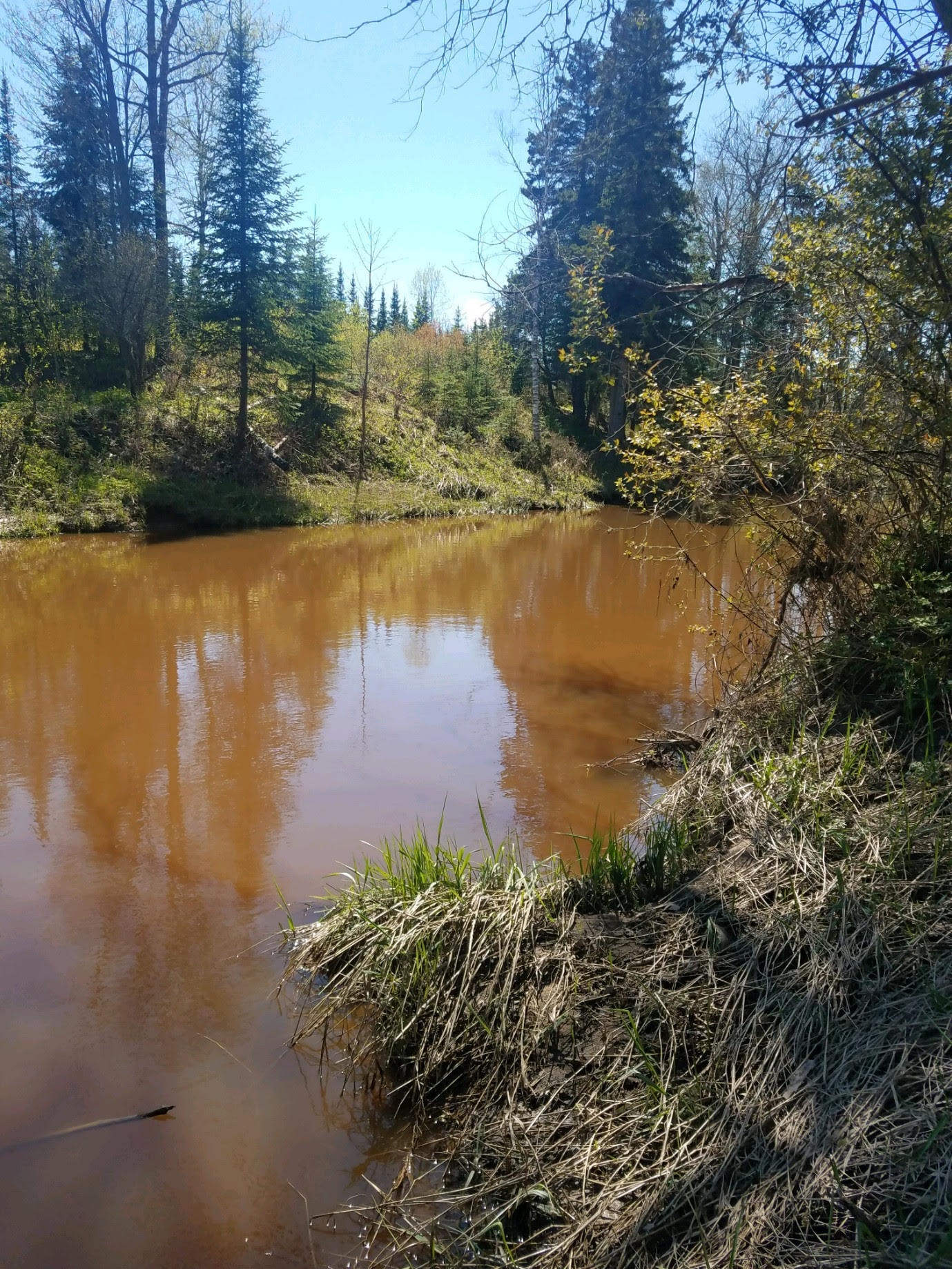 43-acres South Ridge Road Sault Ste. Marie, MI 49783 - Photo 1 of 24 Gallery Image 1