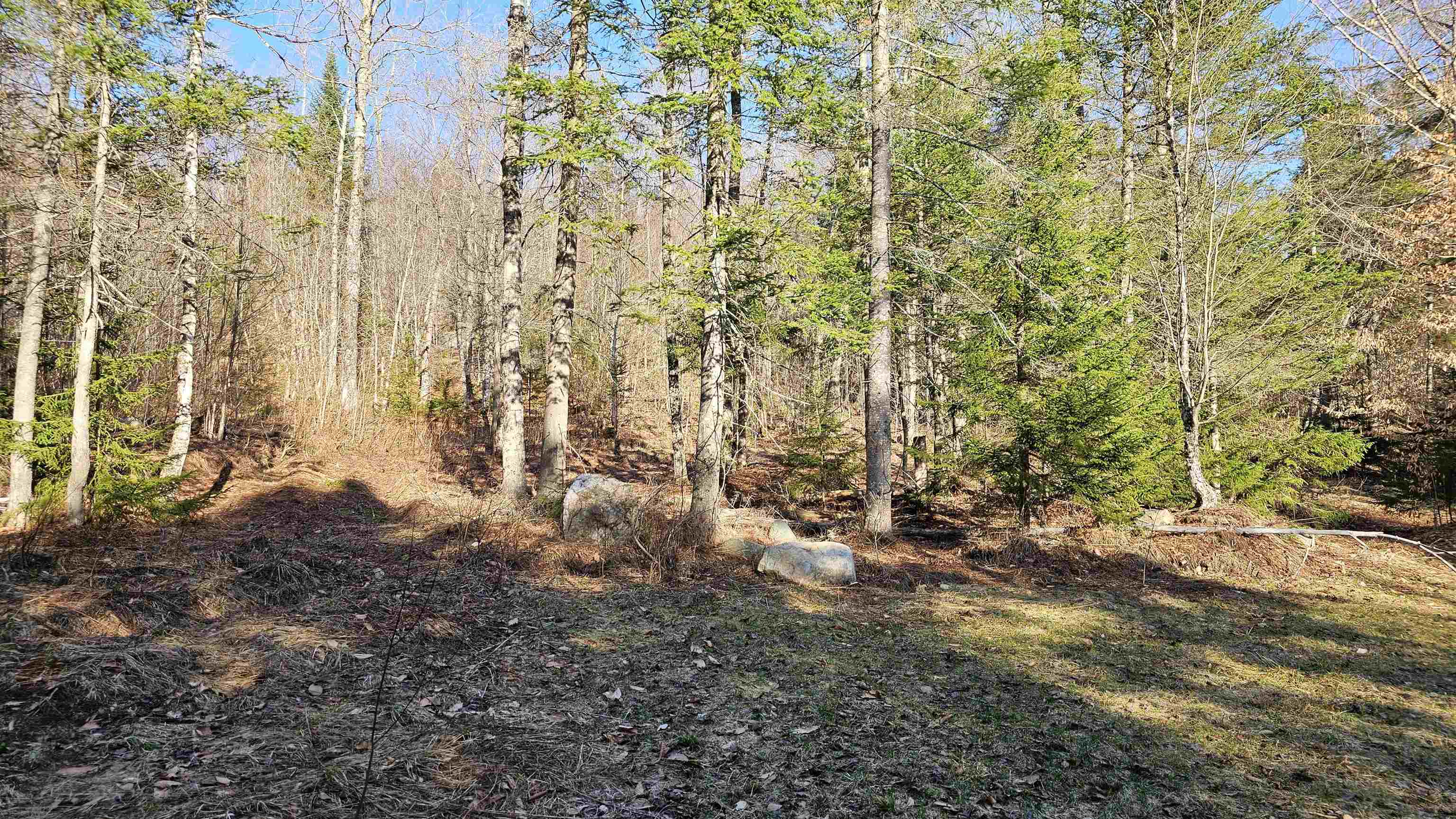 512 Woodbury Mountain Road Calais, VT 05648 - Photo 41 of 59