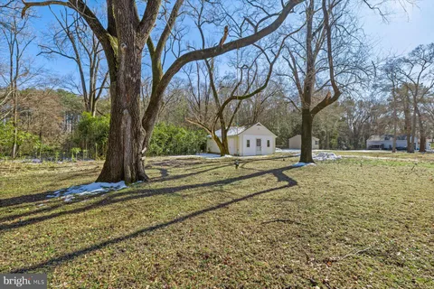 a view of yard with tree