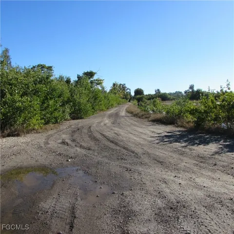 a view of a dirt road with trees in the background