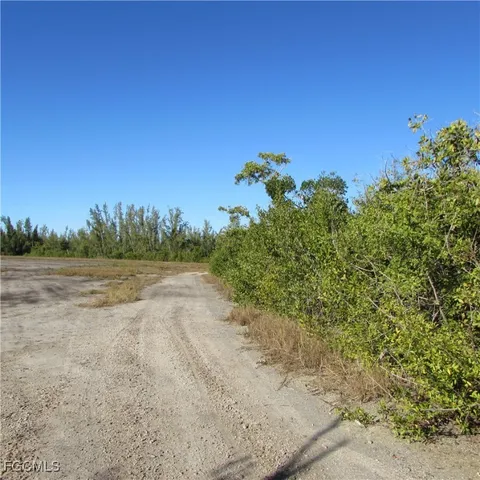 a view of a yard with a tree