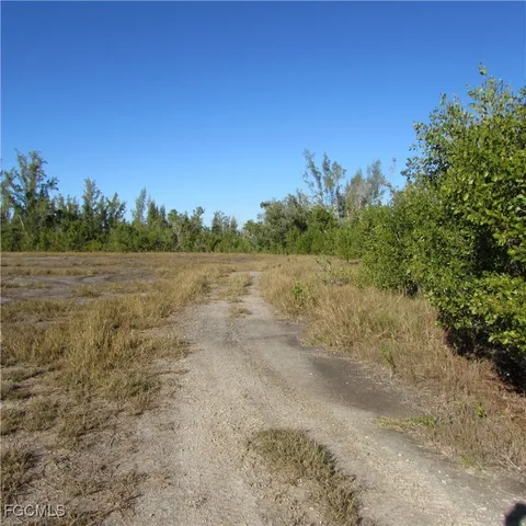 a view of a field with trees in background