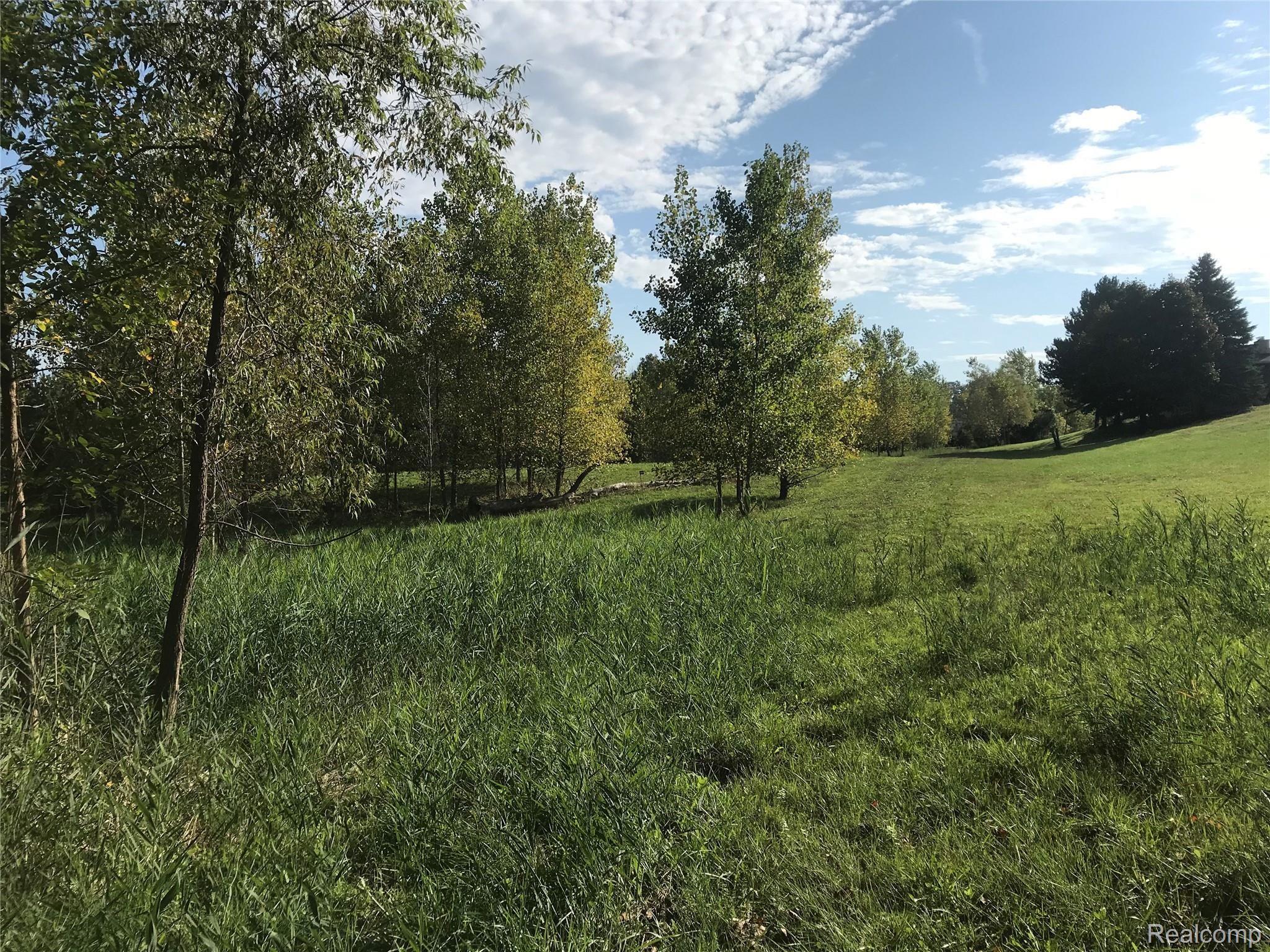 0 Brewster Road Rochester, MI 48306 - Photo 5 of 11 9BF6F51E-4154-454D-B377-5BFDEAC58753.jpeg