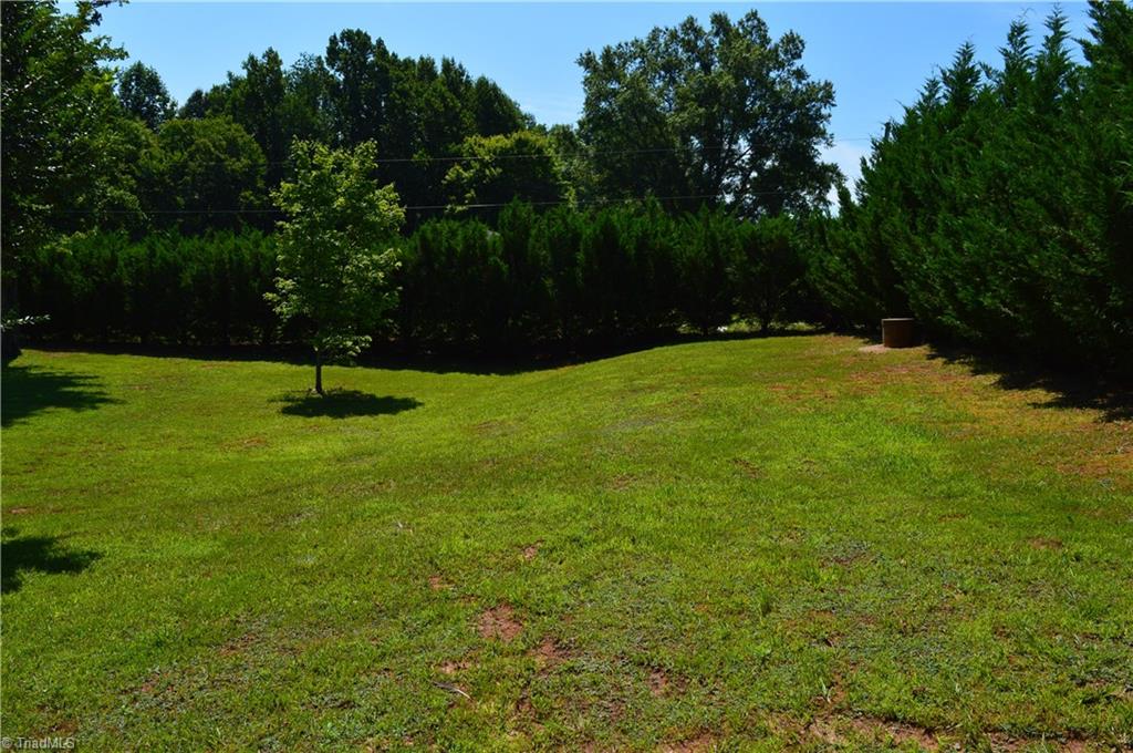 5107 Highway 704 Sandy Ridge, NC 27046 - Photo 3 of 28