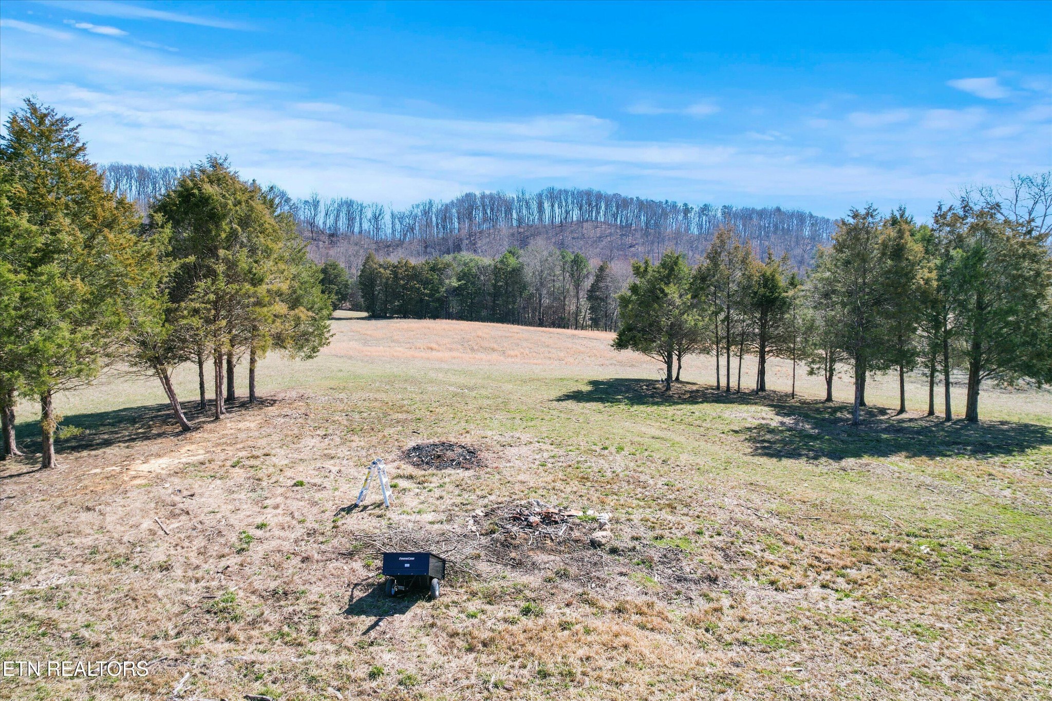 0 Paint Rock Valley Road Philadelphia, TN 37846 - Photo 12 of 40 a view of a yard with a tree