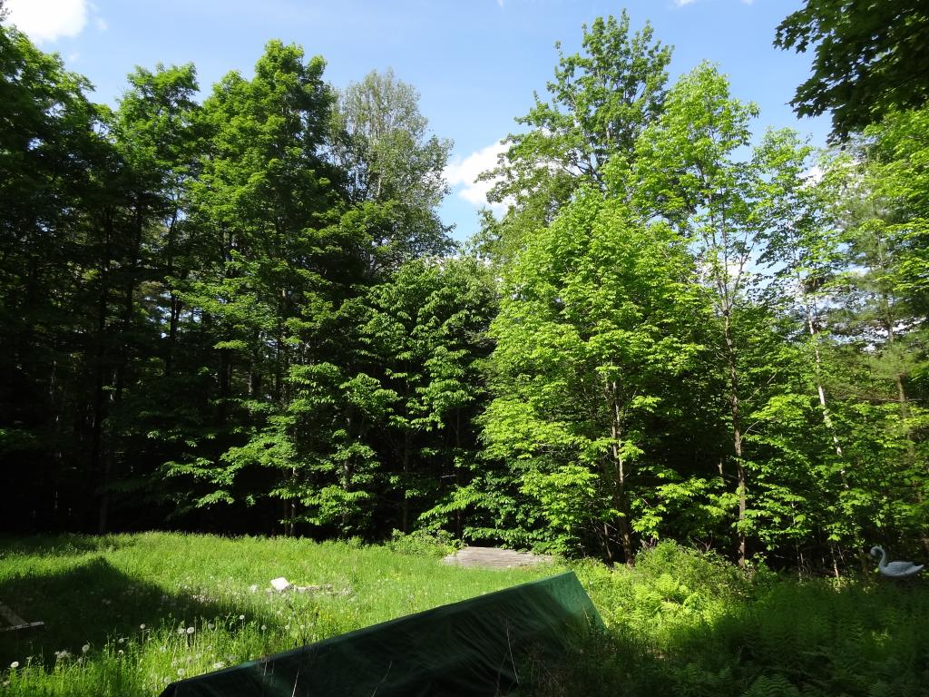 450 Patch Hill Road Mount Holly, VT 05730 - Photo 12 of 15 Gallery Image 12