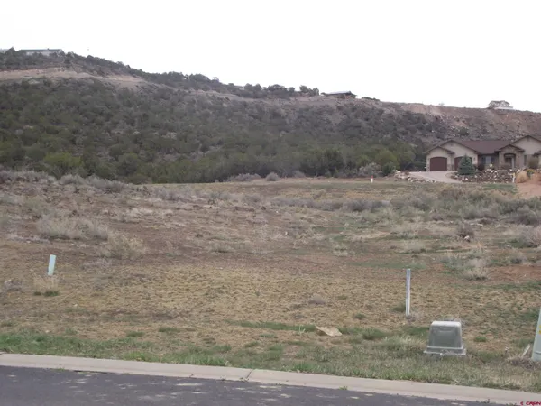 a view of a dry yard with mountains in the background