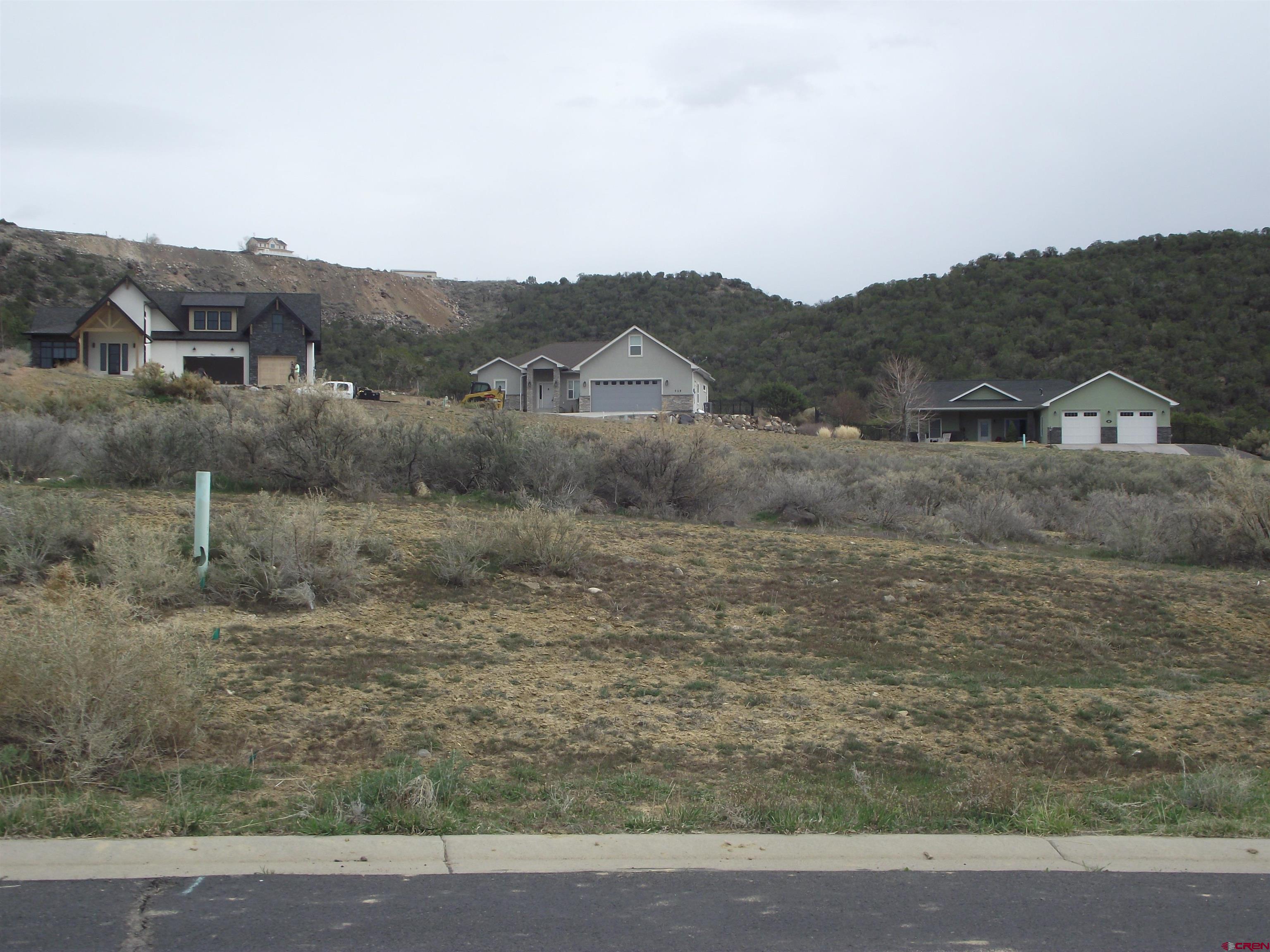 725 Southeast Pinyon Street Cedaredge, CO 81413 - Photo 2 of 13 a view of a dry yard with green space