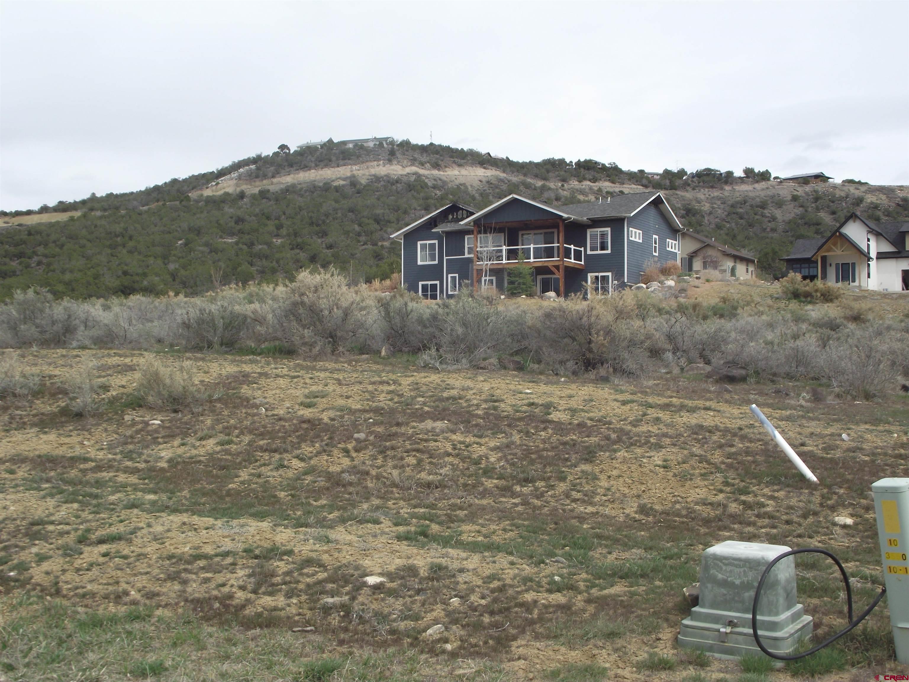 725 Southeast Pinyon Street Cedaredge, CO 81413 - Photo 3 of 13 a view of a house with a yard
