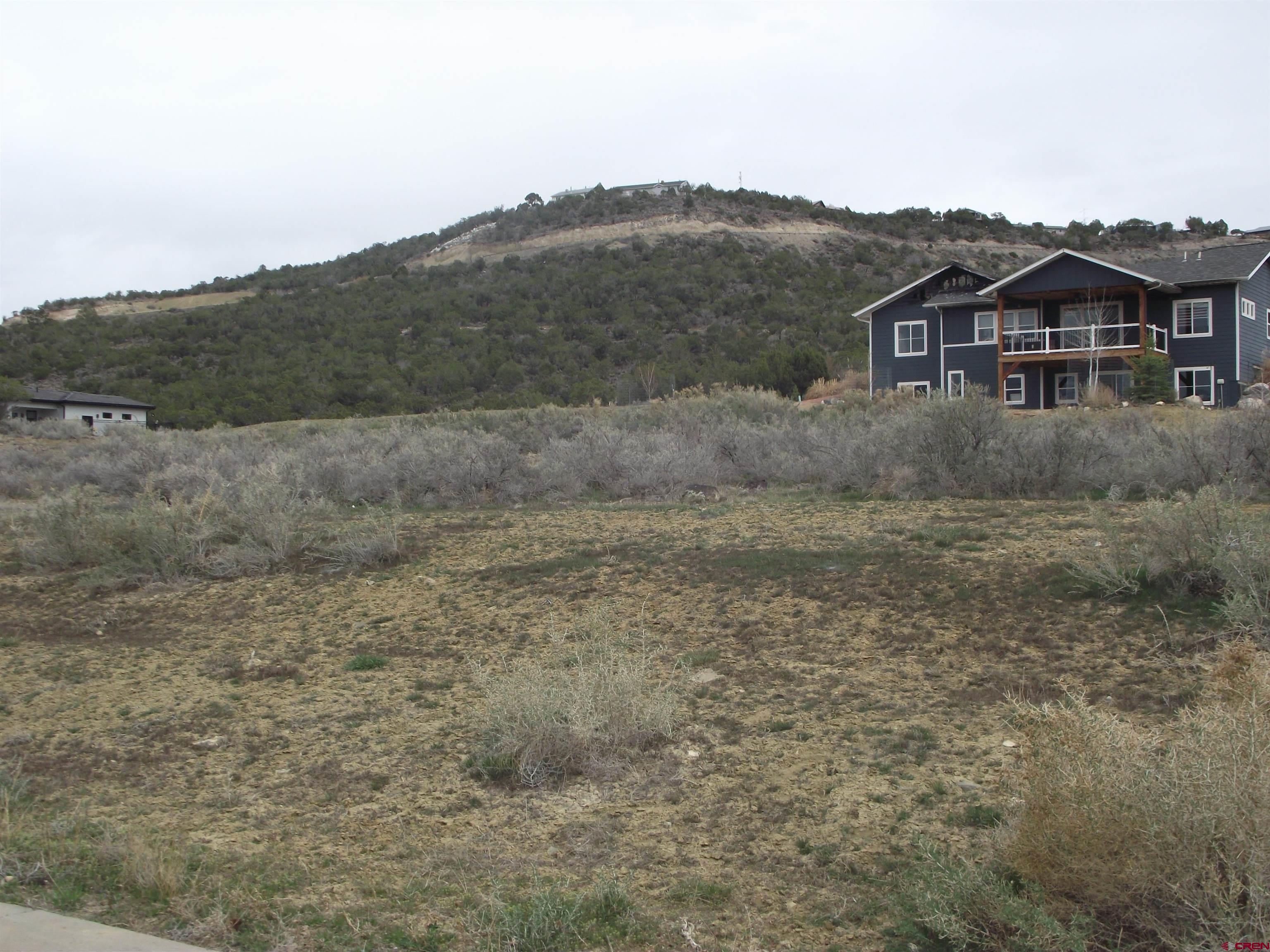 725 Southeast Pinyon Street Cedaredge, CO 81413 - Photo 6 of 13 a view of house with green field and mountains