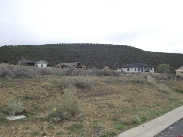 a view of a dry field