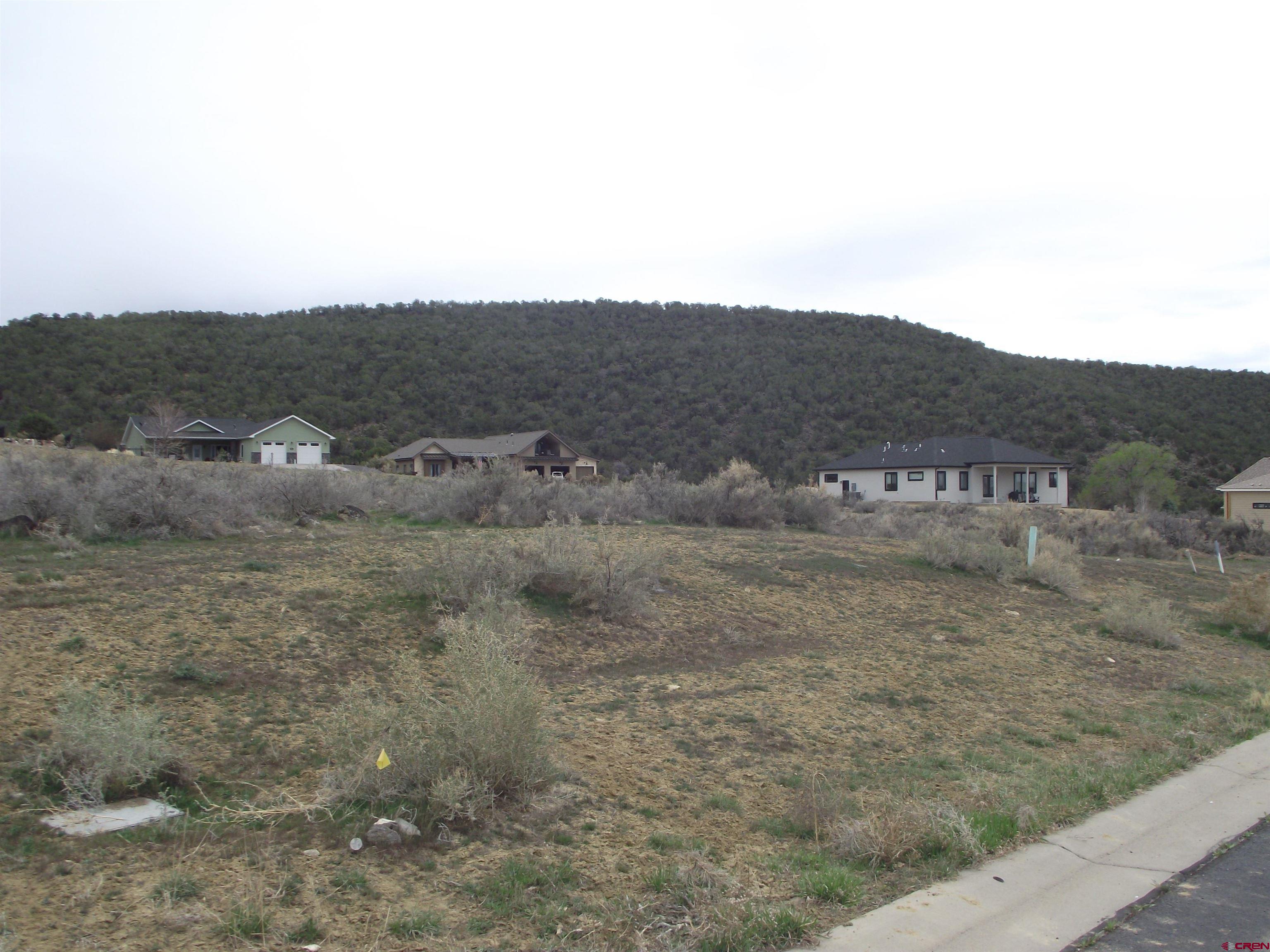 725 Southeast Pinyon Street Cedaredge, CO 81413 - Photo 9 of 13 a view of a dry field